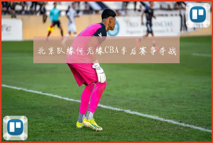 北京队缘何无缘CBA季后赛争夺战