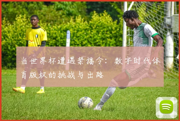 当世界杯遭遇禁播令：数字时代体育版权的挑战与出路
